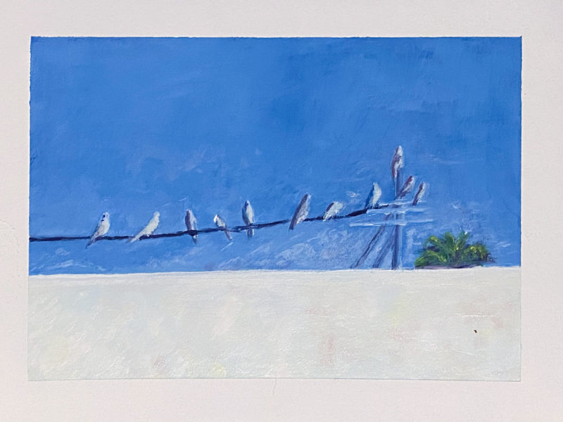 birds on a wire
